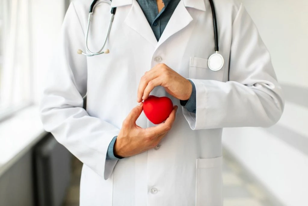 Médica segura uma representação de coração